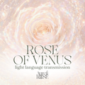 Rose of Venus | Light Language Transmission for Receptivity, Pleasure, and Love (69 mins)